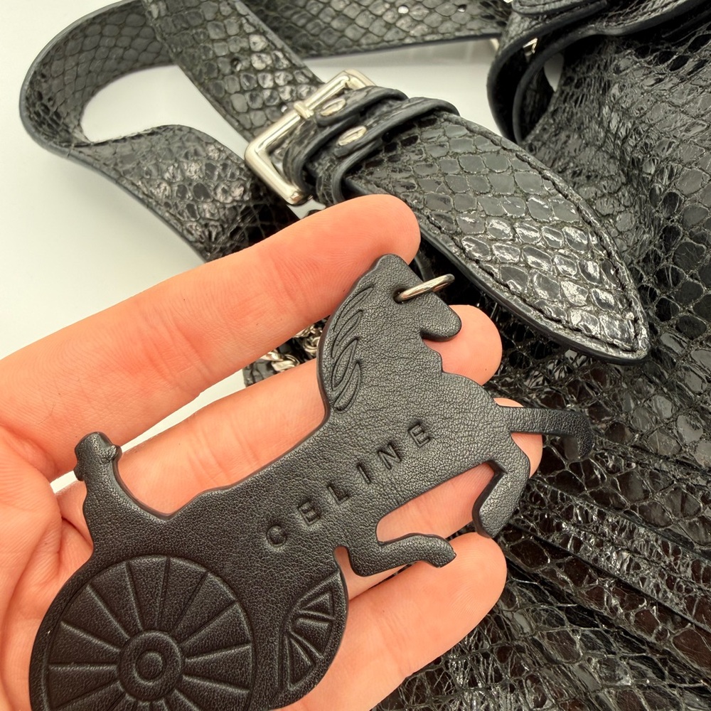 Celine Black Python Embossed Hobo Bag - image 12